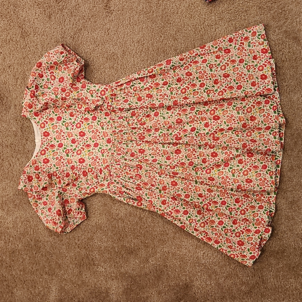 J Crew Libery Print Dress